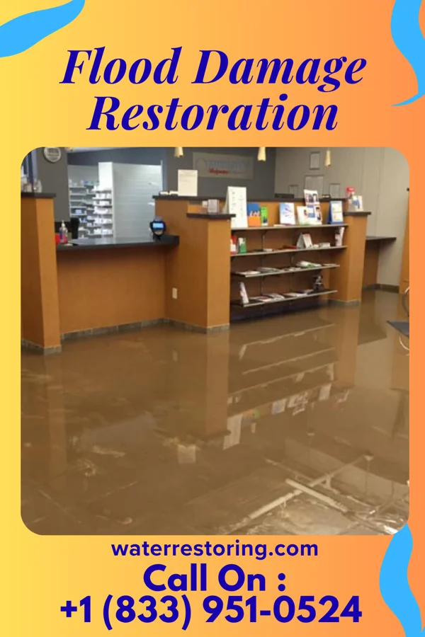 Flood Damage Restoration in Bridgeport, CT