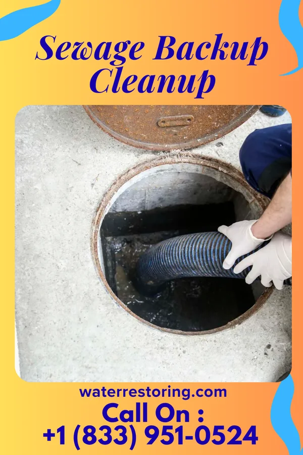 Sewage Backup Cleanup in Bridgeport, CT