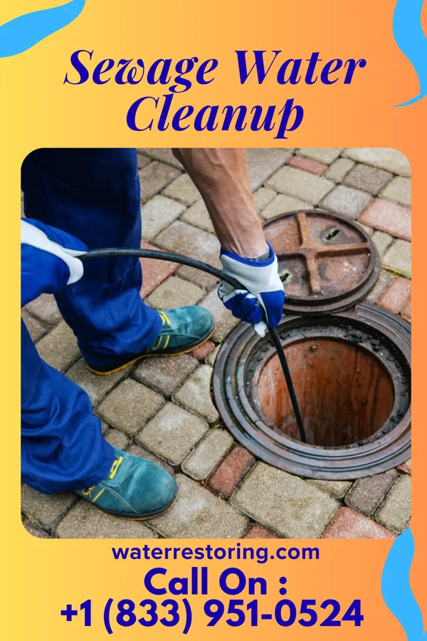 Sewage Water Cleanup in Bridgeport, CT
