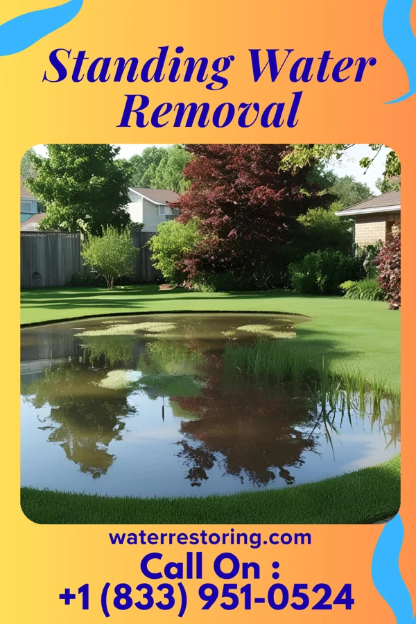 Standing Water Removal in Bridgeport, CT